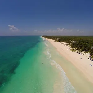 https://mestizo-gallery.allrivieramayahotels.com